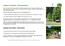Wald-Kartei.pdf